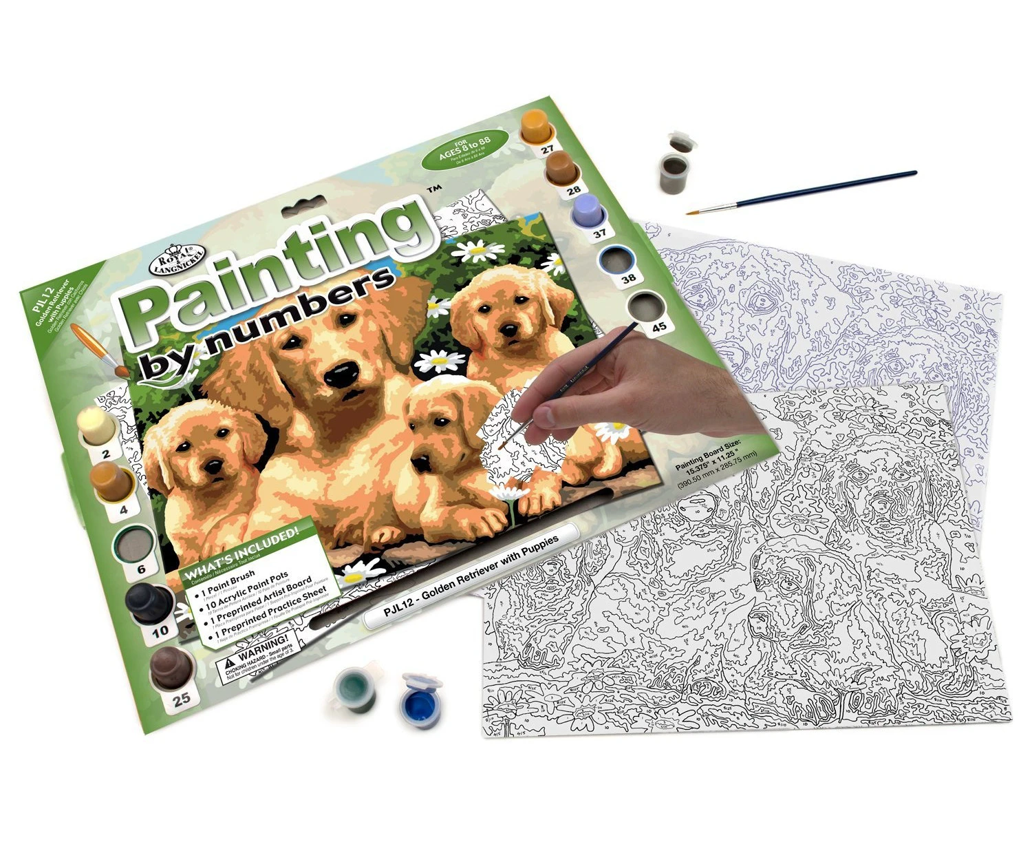 Royal & Langnickel Painting by Numbers Junior Large Art Activity Kit, Golden Retriever