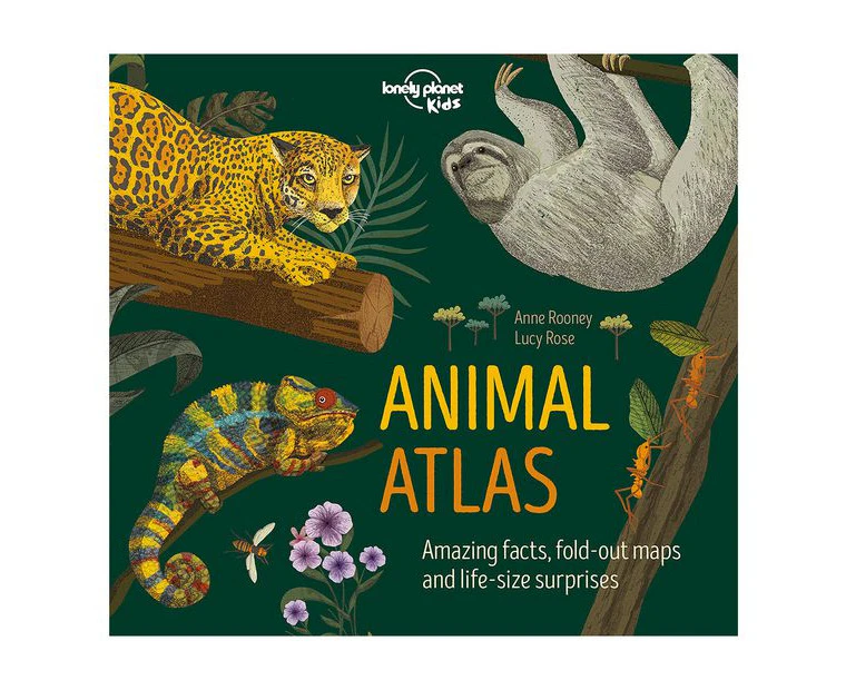 Animal Atlas - Anne Rooney &  Lucy Rose