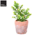 West Avenue Artificial Greenery w/ Cement Pot - Green/Terracotta