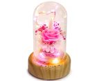 (Pinklady) - Romantic Musical Night Light with Rose in Glass Dome;Best gift for her in Valentine's Day,Birthday,anniversary;USB Rechargeable Battery Powere
