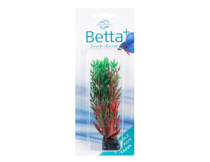 Blue Planet Betta Plant Style 1 Green