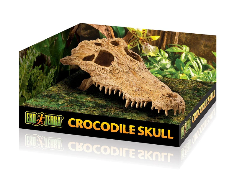 Medium Crocodile Skull Reptile Decoration by Exo Terra