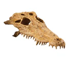 Medium Crocodile Skull Reptile Decoration by Exo Terra