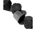 Kuro-Bo  Activated Charcoal Koins