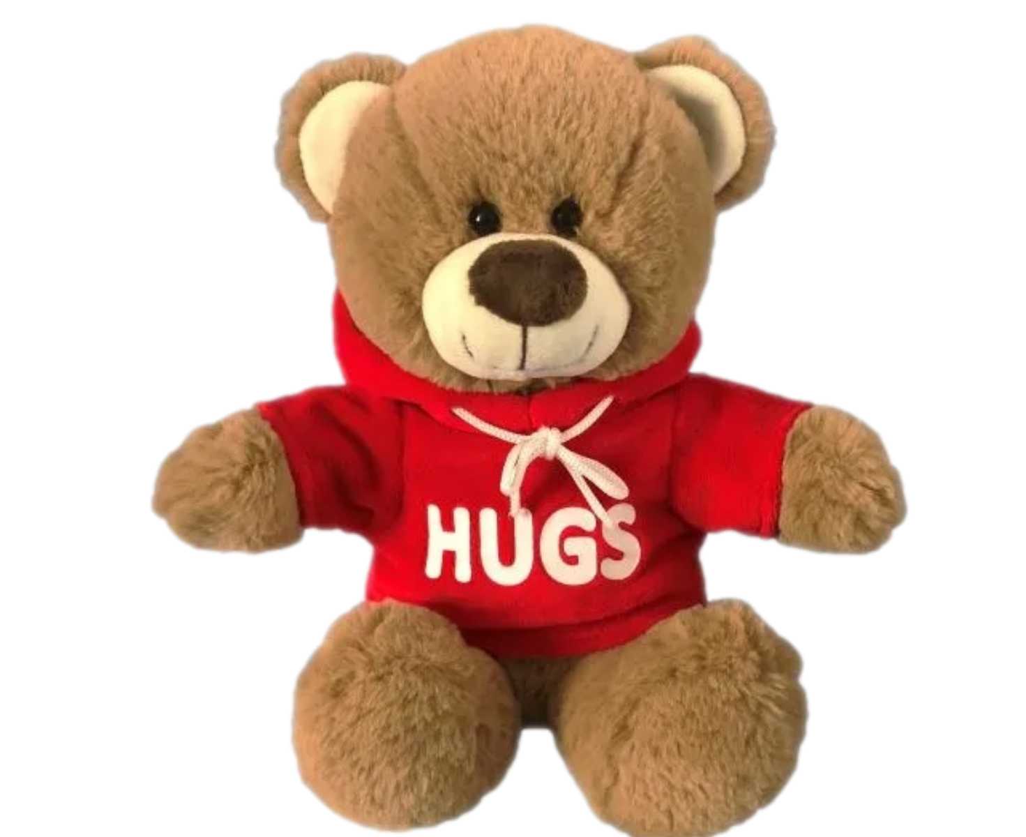 Brown Teddy Bear With Red Hoodie Hugs 25cm Valentines Day Plush