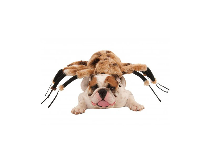 Giant Brown Spider Pet Costume