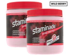 2 x Staminade Electrolyte Sports Drink Powder Wild Berry 585g
