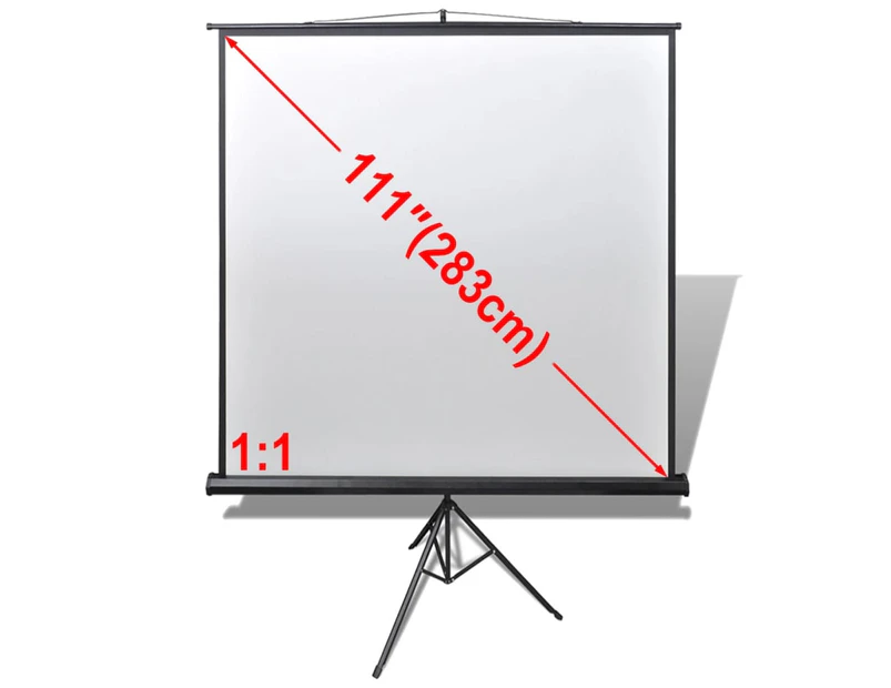 Manual Projection Screen with Height Adjustable Stand 200 x 200 cm 1:1