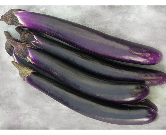 Boondie Seeds Eggplant 'Ping Tung' seeds