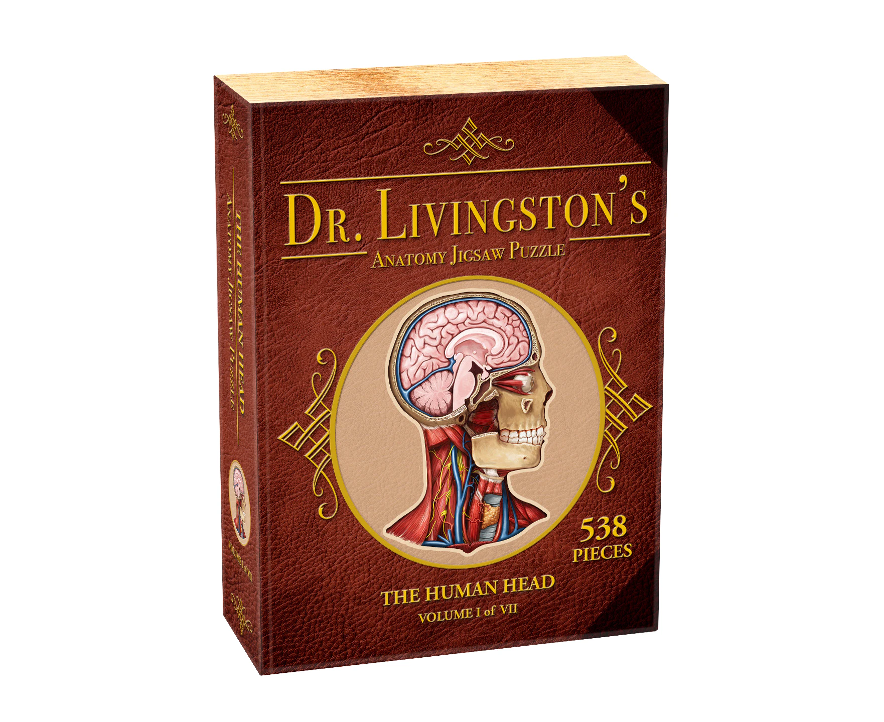 Dr. Livingstons Anatomy The Human Head Puzzle 500 Pieces