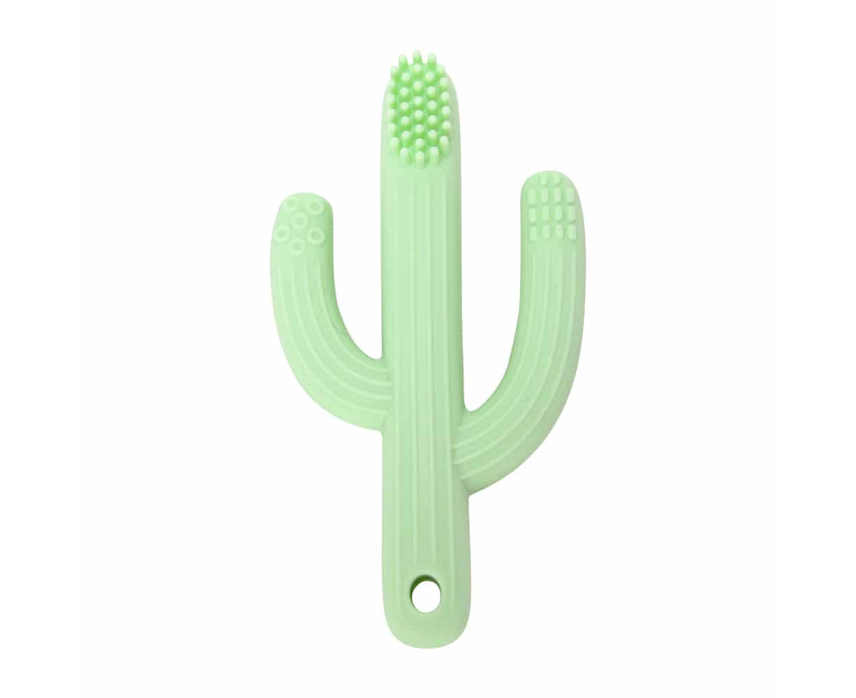 Cactus best sale teether target