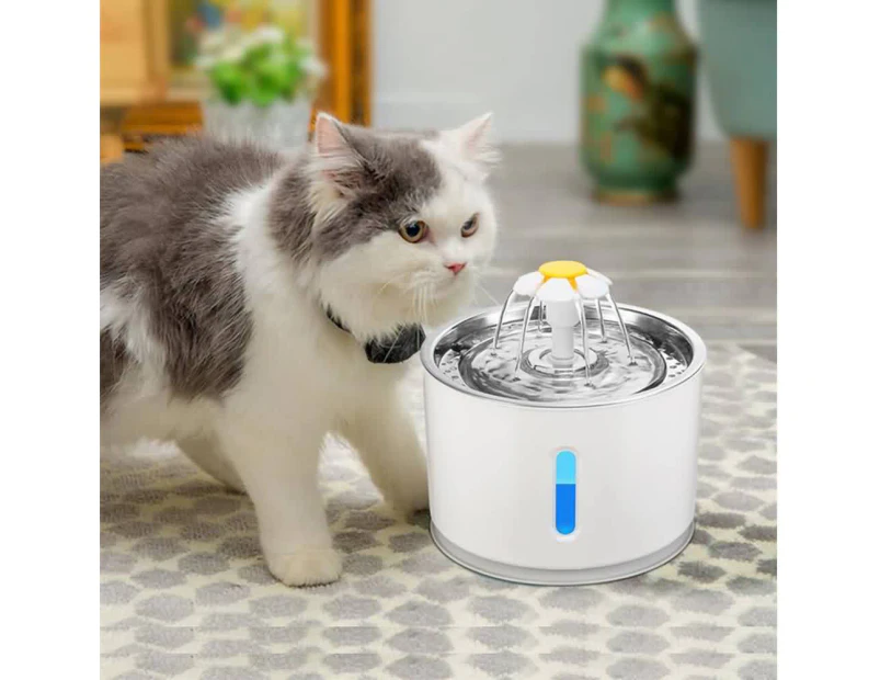 Electric store cat bowl