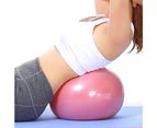 5Pcs Pilates Ring Yoga Exercise Ball Set with Resistance Band - Pink