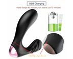 JRL Remote Control Auto Heat Prostate Massager Anal Vibrator