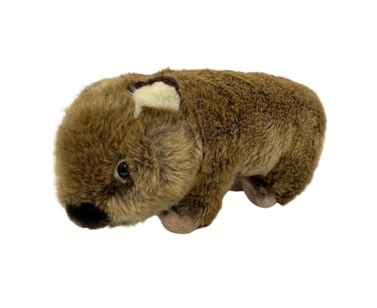 Korimco Wombat Wilbur Australia 20cm Soft Plush Toy for sale online 