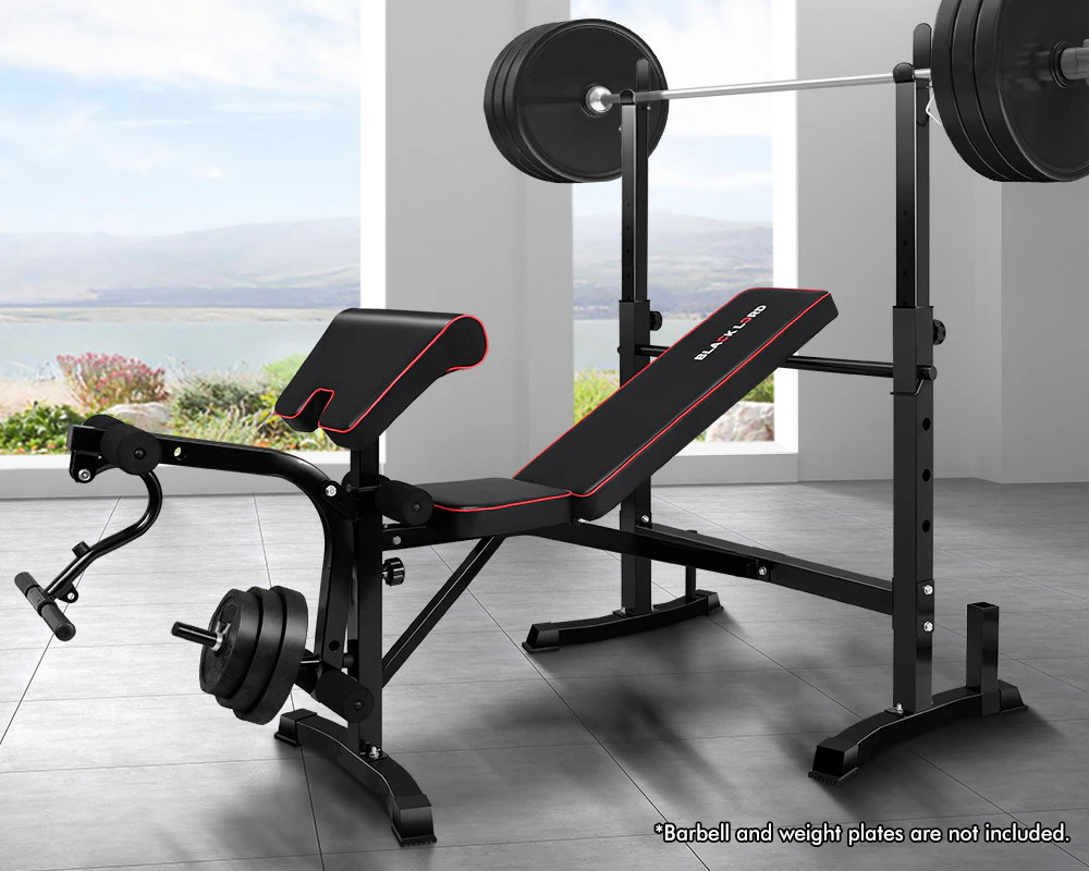 Weight Bench 10 In 1 Press Multi-station Fitness Home Gym Equipment