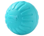 Paws & Claws 9cm Fetch N' Float Floating Ball Dog Toy - Aqua