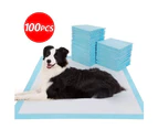 100PCS Pet Toilet Pad Pet Training Pads Absorbent Indoor Dog Cat Pee Pads 60x60cm