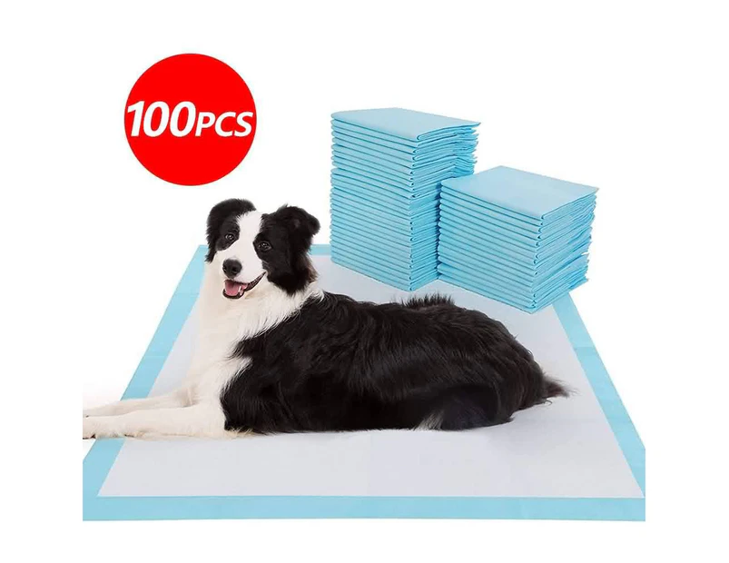 100PCS Pet Toilet Pad Pet Training Pads Absorbent Indoor Dog Cat Pee Pads 60x60cm