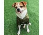Foldable Waterproof Dog Raincoat Adjustable Pet Jacket With Reflective Straps-M-Green