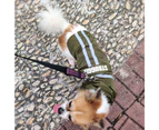 Foldable Waterproof Dog Raincoat Adjustable Pet Jacket With Reflective Straps-L-Green