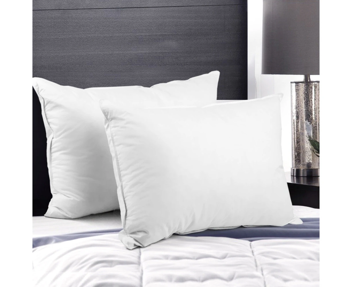 Giselle Bedding Goose Feather Down Pillow Twin Pack