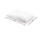 Giselle Bedding Duck Feather Down Pillow Twin Pack