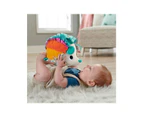 Fisher-Price Cuddle n' Snuggle Hedgehog - Blue