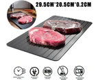 EZONEDEAL Rapid Defrosting Tray for Thawing Frozen Meat Thawing Plate for Fast defrosting of Frozen Foods Premium Quality Thawing Tray