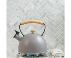Household Whistling Kettle Picnic Tea Pot Tableware Teapot Coffee Tea Pot