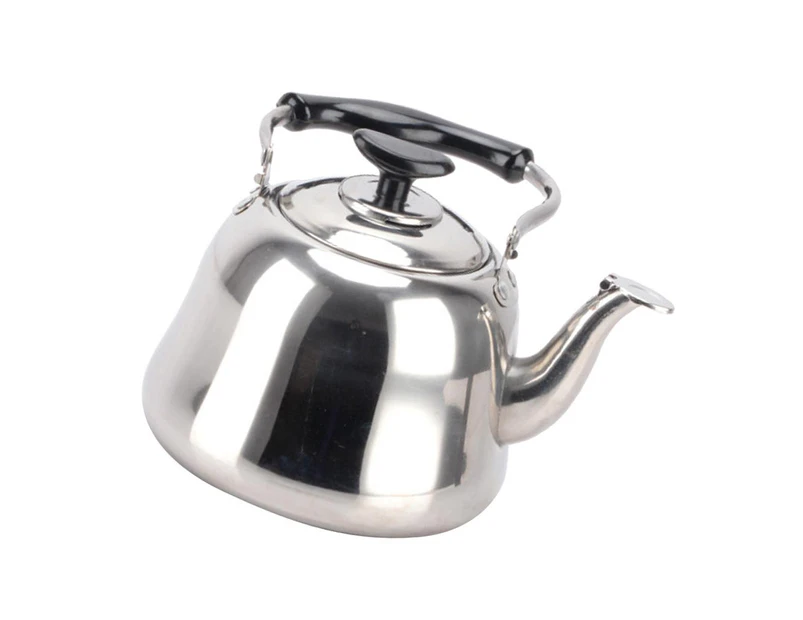 Stainless Steel Whistling Tea Kettle Stove Top Teapot Pot with Removable Tea 3L