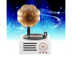 Turntable Record Player Bluetooth 5.0 All in One for Club Decoration Office White