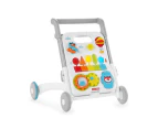 Skip Hop Explore & More Grow Along 4 in 1 Activity Walker