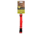M-Pets Large Jolly Eco-Friendly Dog Collar - Red