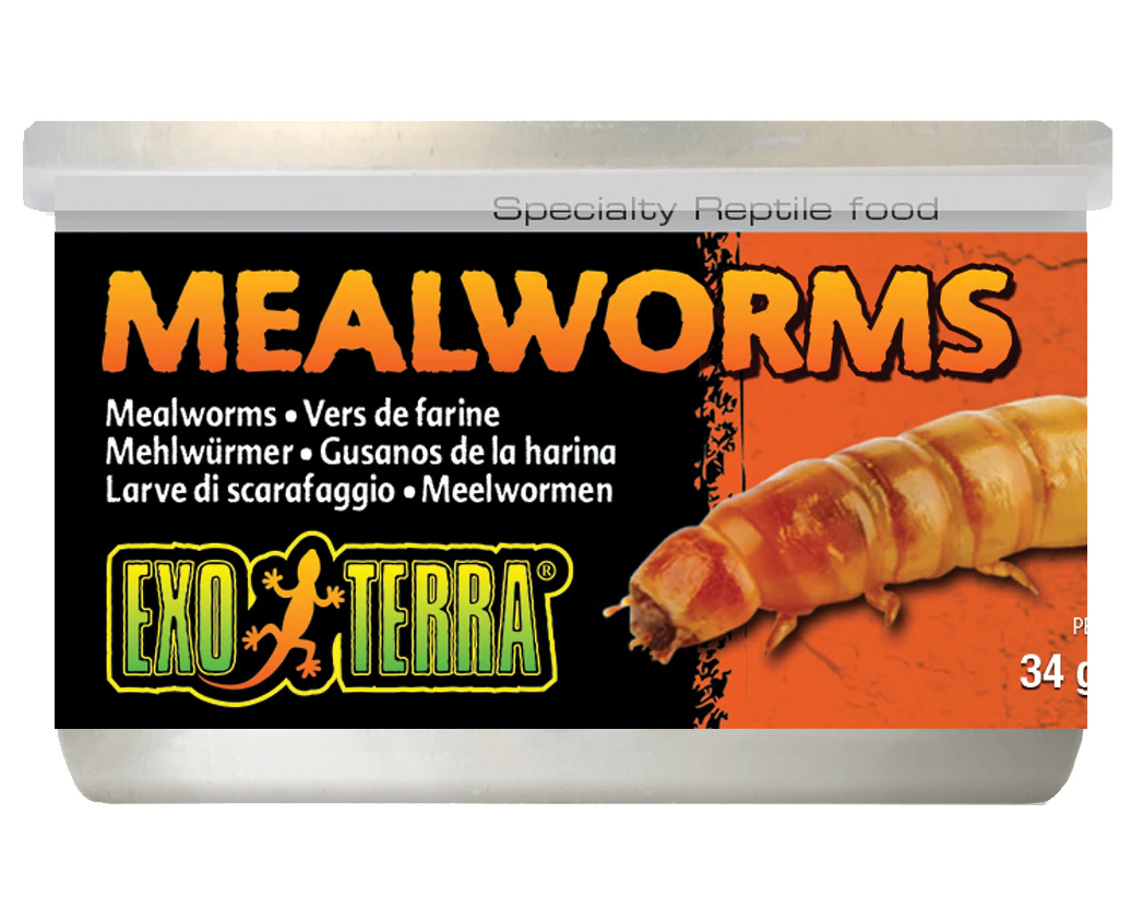 Exo Terra 34 gram Mealworms Reptile Lizard Food