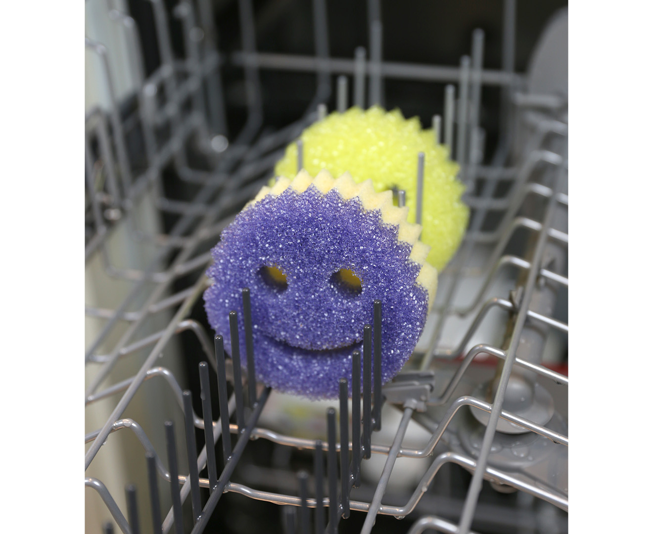 Scrub Daddy Dual-Sided Sponge and Scrubber- Scrub Mommy Dye Free -  Scratch-Free Scrubber for Dishes and Home, Odor Resistant, Soft in Warm  Water, Firm in Cold, Deep Cleaning, Dishwasher Safe, 1ct 1