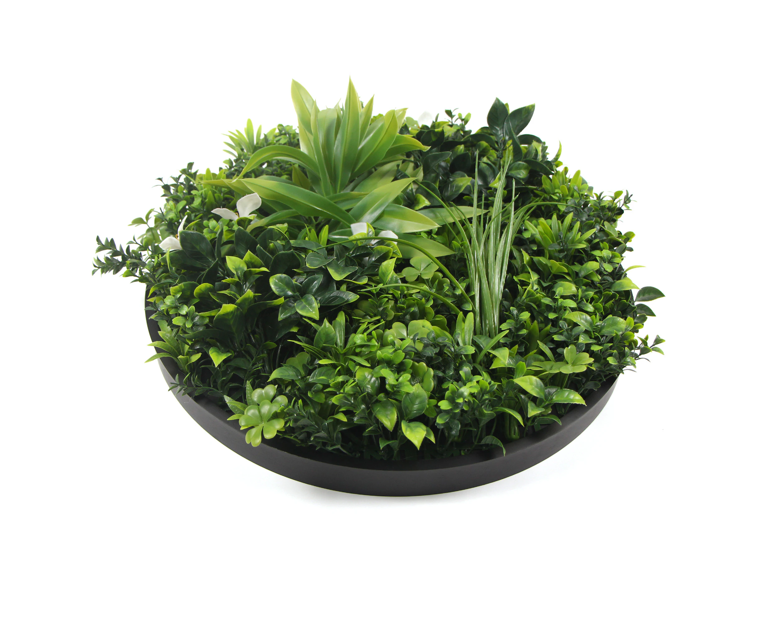 Flowering White Artificial Green Wall Disc UV Resistant 100cm (Black Frame)