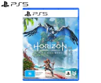 PlayStation 5 Horizon: Forbidden West Game