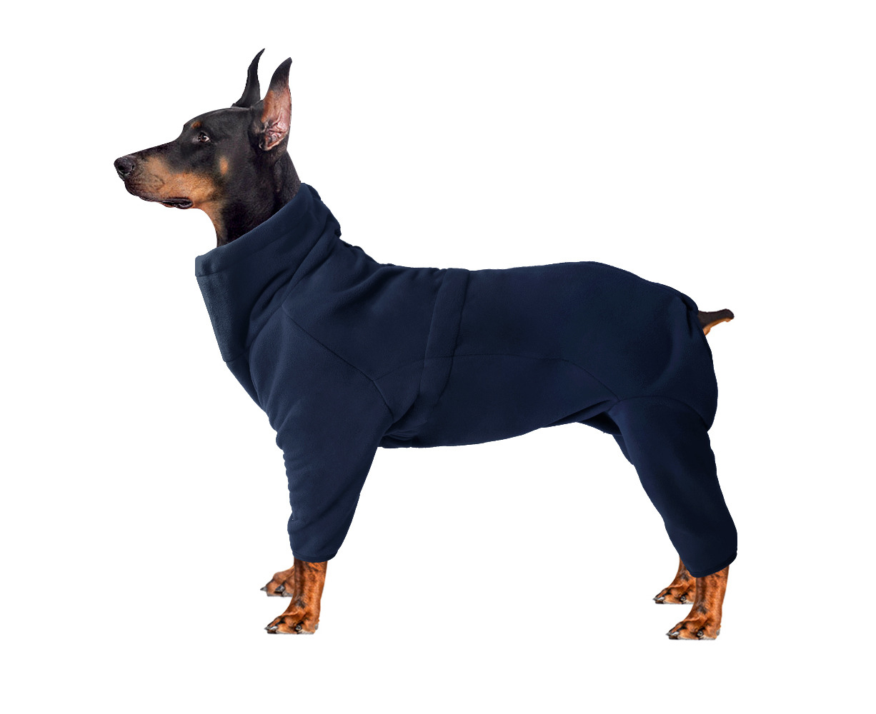 doberman clothes for winter