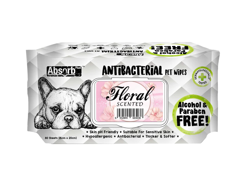 Absorb Plus Floral Antibacterial Pet Wipes 80 Pack