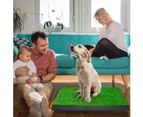 Artificial Grass Puppy Pee Pad Pet Loo Portable Training Mat with Dog Housebreaking Tray Reusable 3 Layered Rug Fake Grass Turf