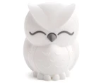 Lil Dreamers Owl Soft Touch LED Light