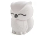 Lil Dreamers Owl Soft Touch LED Light