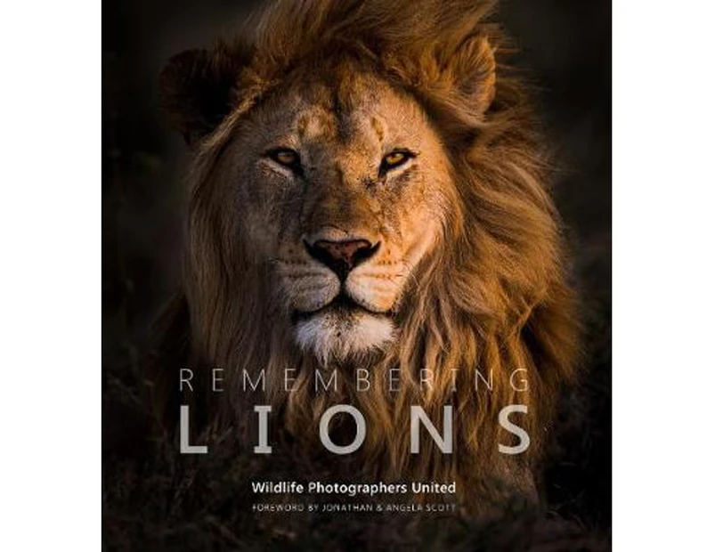Remembering Lions