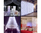 300/600 Led Curtain Fairy Lights Wedding Indoor Outdoor Party Christmas Light - 6M*3M/600 LEDs Warm White