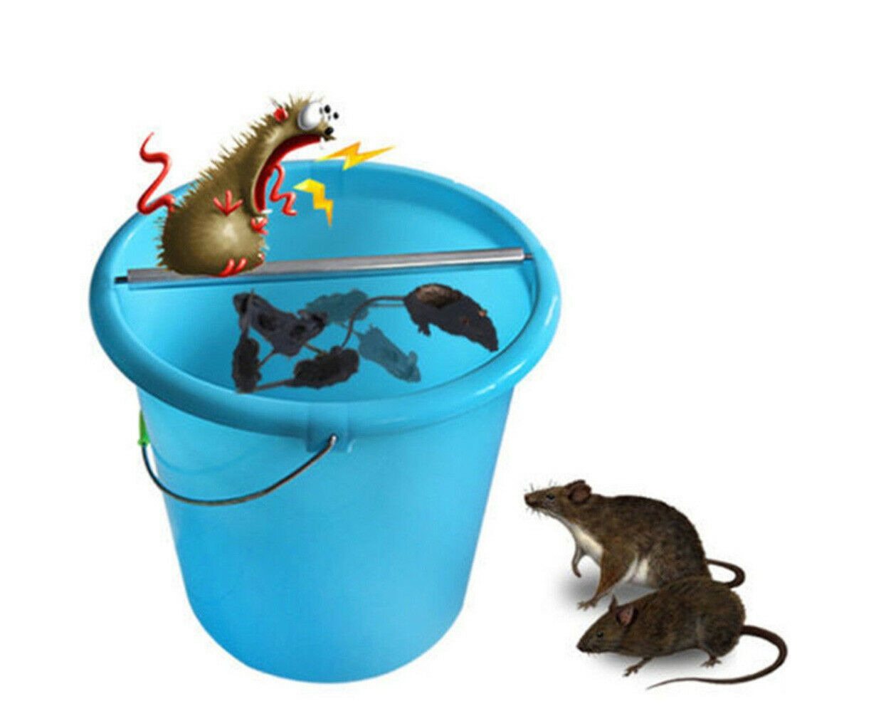 New Mouse Trap Catch Rat Trap Auto Catch Walk The Plank Humane Bucket Mice  Reset