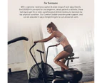 Lifespan Fitness EXER-90H Exercise Air Bike