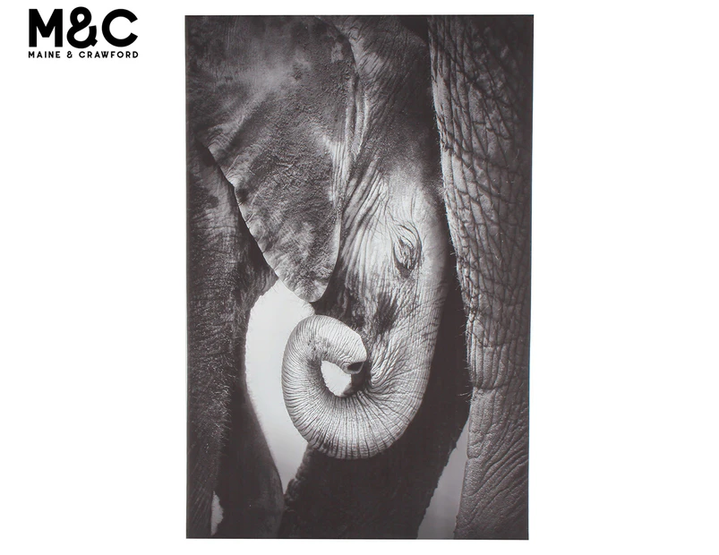 Maine & Crawford 90x60cm Blaine Baby Elephant Canvas Wall Art