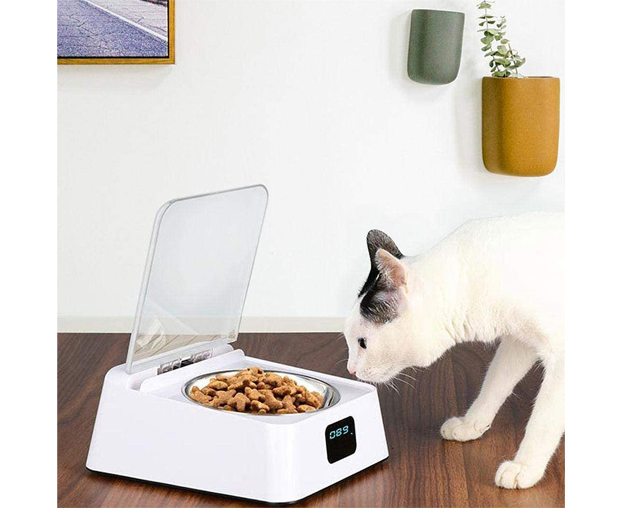 sensor cat bowl