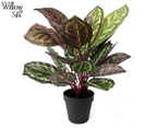 Willow & Silk 50cm Potted Calathea Artificial Plant